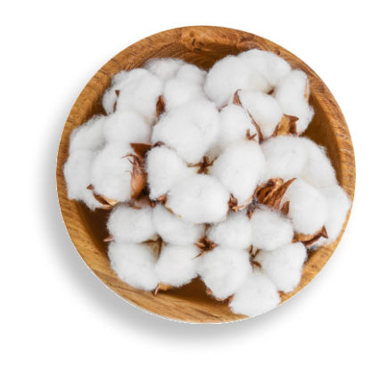 Cottonseed Oil